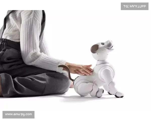 英超无障碍设施奖，包容性设计认可