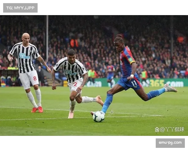 水晶宫对阵纽卡斯尔，舍尔与吉马良斯伤缺影响喜鹊中场控制力